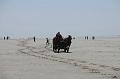 _D3X2210-Marathon des dunes de Fland